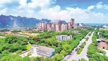 Vicem hướng tới công nghệ mới ngành Xi măng