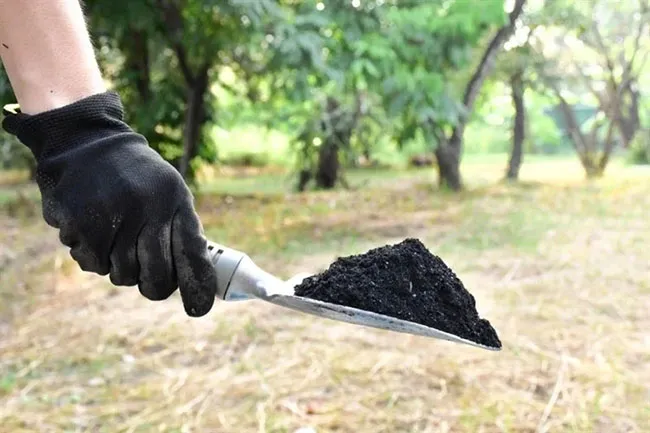 Ảnh hưởng của biochar biến tính kiềm đến khả năng hấp phụ CO₂ và cường độ composite xi măng