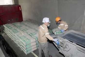 VICEM Bút Sơn đặt mục tiêu lãi hơn 29 tỷ đồng trong năm 2025