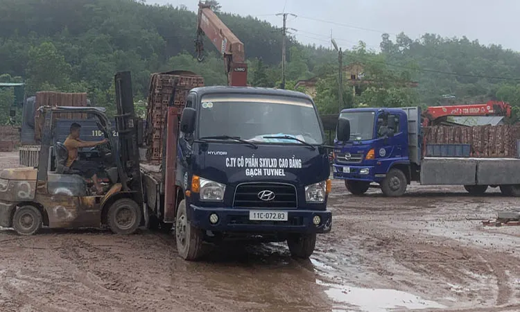 Công ty CP Sản xuất VLXD Cao Bằng đẩy mạnh sản xuất, tiêu thụ gần 30 triệu viên gạch