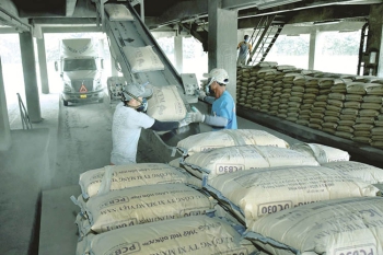 VICEM Hải Phòng mời chào hàng cung cấp tro bay phục vụ cho sản xuất