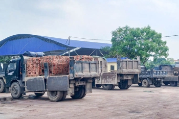 Thái Nguyên: Nguồn cung khan hiếm khiến giá gạch tuynel tăng kỷ lục