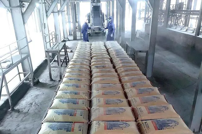 VICEM Hải Vân thông qua nghị quyết gia công Xi măng Hoàng Thạch