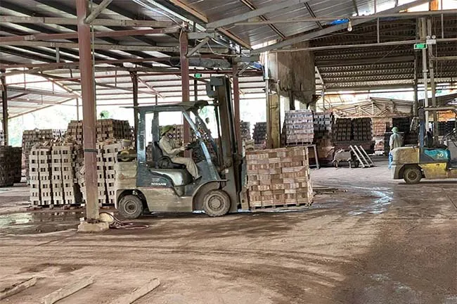 Thanh Hóa: Sản xuất tăng tốc, đảm bảo nguồn cung vật liệu xây dựng cuối năm