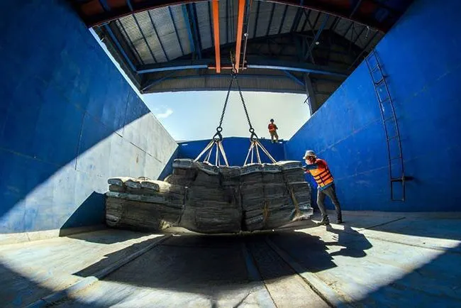 Doanh nghiệp thành viên VICEM đồng loạt báo lãi trở lại