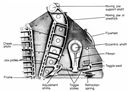 Automation in Crushing