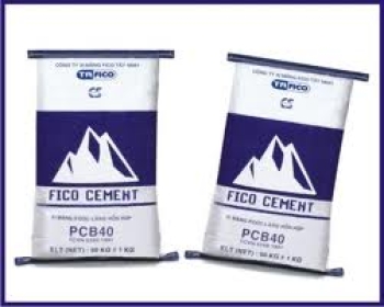 Công đoàn Fico thành công nhờ gắn với hoạt động thực tiễn