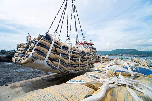 Tiêu thụ xi măng năm 2026: Cơ hội và thách thức đan xen