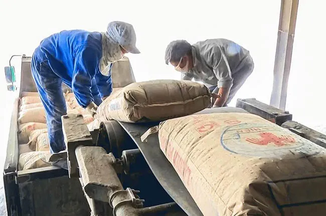 Cắt giảm chi phí, Xi măng La Hiên báo lãi 21,52 tỷ đồng quý 4/2025