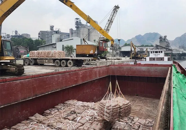 Tháng 6 giảm tốc, thị trường xi măng vẫn duy trì đà tăng trong nửa đầu năm