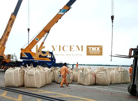 VICEM Thương mại Xi măng báo lãi 1,11 tỷ đồng trong nửa đầu năm 2026