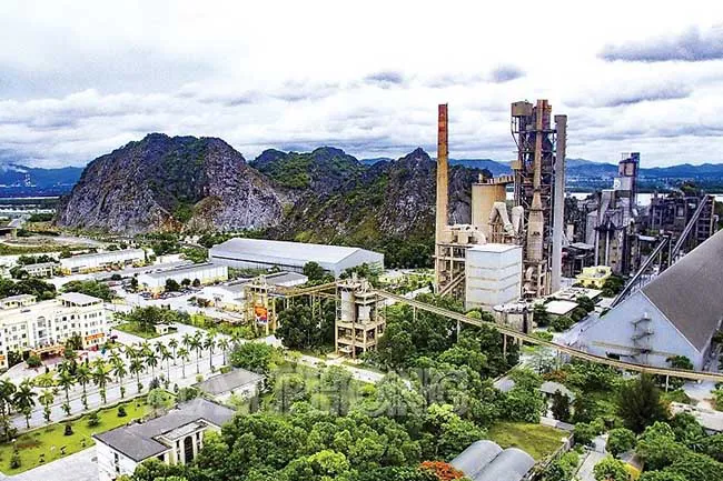VICEM Hải Phòng mời thầu gói mua sắm vỏ bao đựng xi măng phục vụ thực hiện cấp quyền sử dụng nhãn hiệu
