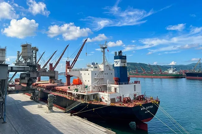 Xuất khẩu xi măng của Việt Nam sang Mỹ tăng 20% trong nửa đầu năm 2026