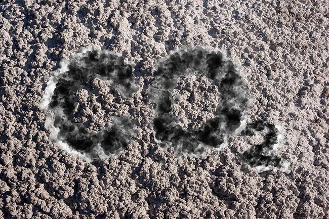 Kết hợp zeolite và biochar từ tre cải thiện cường độ, khả năng hấp thụ CO₂ của bê tông