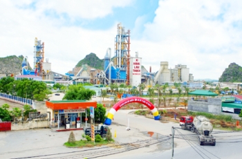 Công ty CP Xi măng và Xây dựng Quảng Ninh thông báo tuyển dụng nhân sự