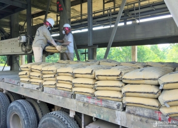 Vicem Hoàng Mai tuyển dụng nhân sự vị trí Nhân viên thị trường