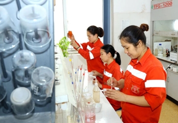 Xi măng Sông Lam thông báo tuyển dụng nhân sự
