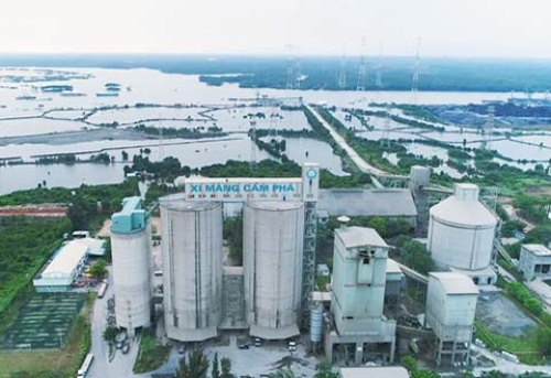 Xi măng Cẩm Phả thông báo mời thầu 