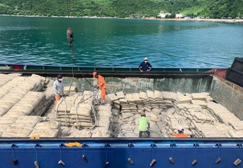 VNCA tiếp tục kiến nghị Thủ tướng gỡ khó cho ngành Xi măng