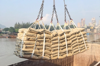 Thị trường xi măng kỳ vọng phục hồi những tháng cuối năm