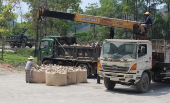 Thái Nguyên: Cân nhắc việc mở rộng quy mô sản xuất xi măng hoặc đầu tư nhà máy mới
