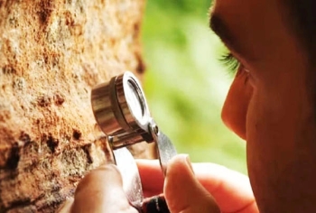 Giải pháp thu giữ khí thải carbon từ đá sa thạch