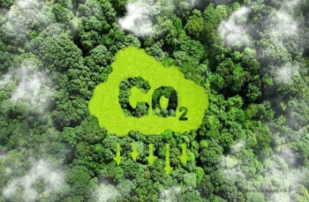 Ưu, nhược điểm của các công nghệ thu gom carbon trong ngành Xi măng