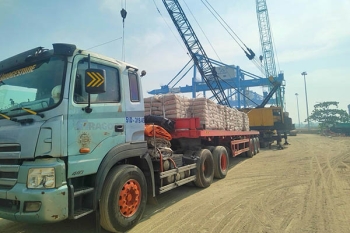 Dự báo triển vọng phục hồi thị trường xi măng