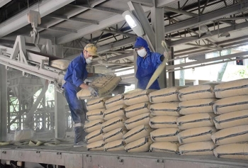 Dự báo tiêu thụ xi măng tiếp tục giảm do ảnh hưởng mưa bão