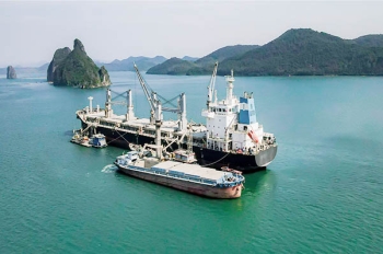 Ngành Vận tải biển: Gió đổi chiều, thị trường đầy sóng gió trong quý 1/2025
