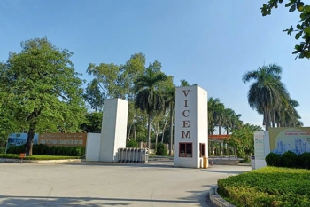 Vicem Bỉm Sơn giải trình biện pháp khắc phục tình trạng cổ phiếu bị cảnh cáo