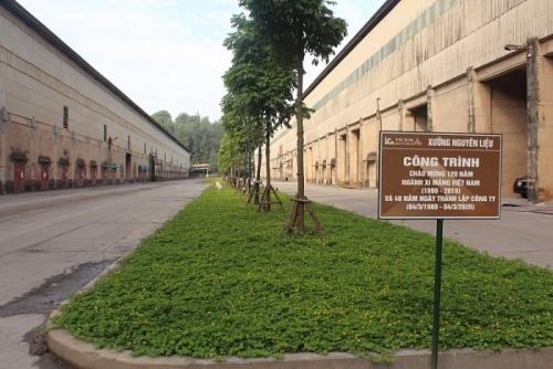 Vicem Hoàng Thạch tích cực thi đua trồng cây bảo vệ môi trường