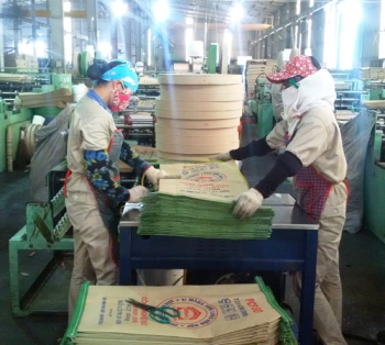 Đình chỉ 3 tháng hoạt động nhà máy Xi măng Phúc Sơn