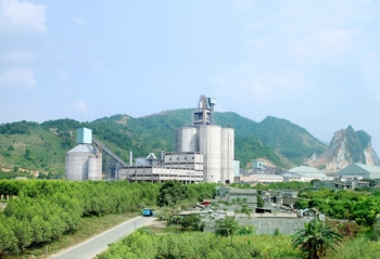 Xi măng Quang Sơn liệu có về với Vicem?