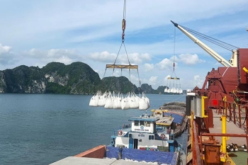 Xuất khẩu xi măng, clinker giảm đáng kể trong tháng đầu năm
