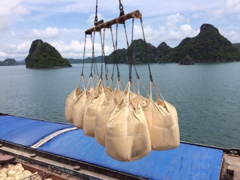Trung Quốc vẫn là thị trường xuất khẩu xi măng lớn nhất của Việt Nam