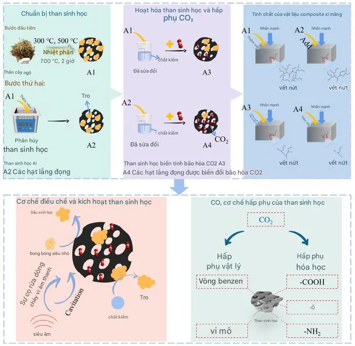 Than sinh học biến tính kiềm giúp xi măng hấp thụ CO₂ và tăng độ bền.