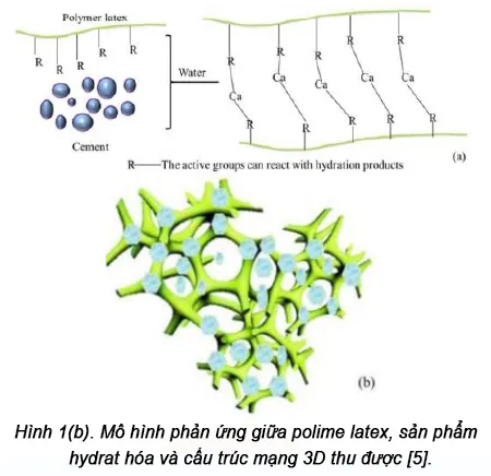 Ảnh hưởng của phụ gia polyme đến khả năng chống thấm và tính chất cơ lý của vữa xây tô trộn sẵn.