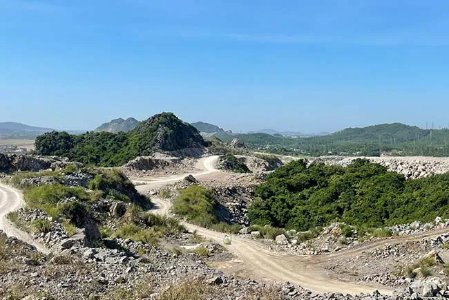 Thanh H&oacute;a chấp thuận chuyển mục đ&iacute;ch sử dụng hơn 4,38 ha rừng cho dự &aacute;n mỏ đ&aacute; v&ocirc;i Ho&agrave;ng Mai B.