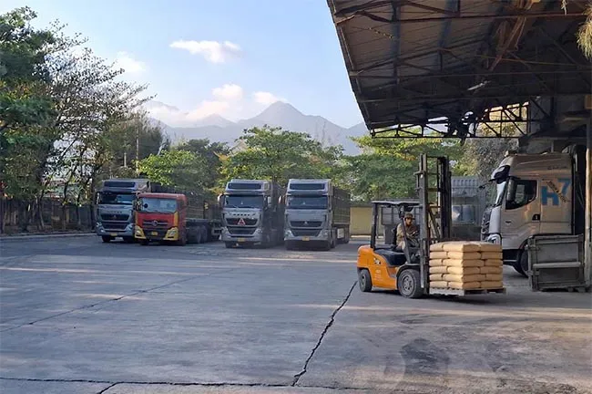 Tăng trưởng chưa theo kịp chi ph&iacute; VICEM Hải V&acirc;n tiếp tục b&aacute;o lỗ 12,4 tỷ đồng.