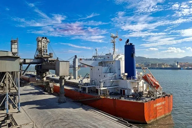 Mở Cầu cảng số 10 Long Sơn, tiếp nhận tàu 20.000 DWT phục vụ nhà máy Xi măng Long Sơn.